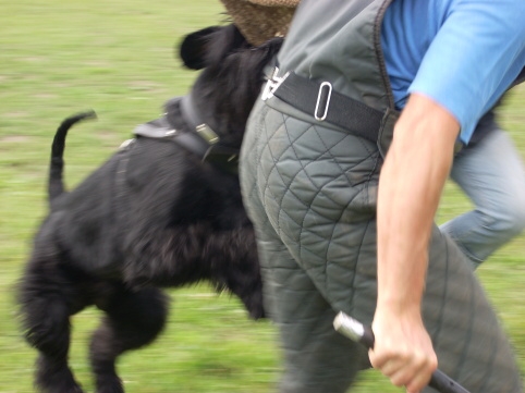 Training in Estonia 6/2007